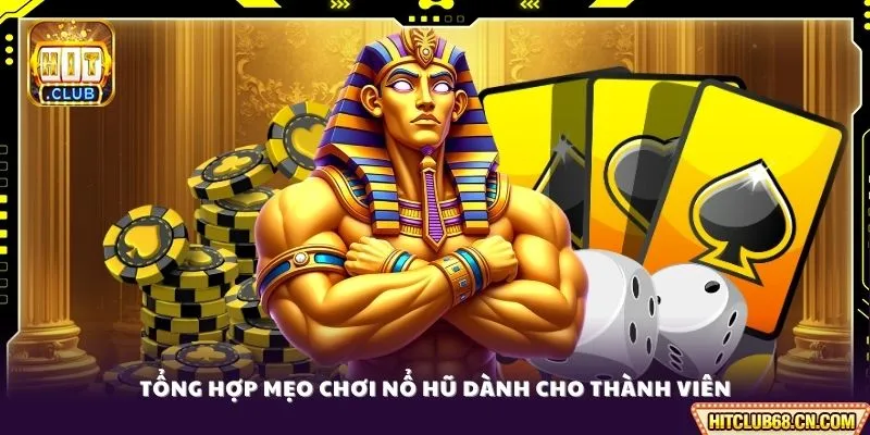 Tổng hợp mẹo chơi nổ hũ dành cho thành viên